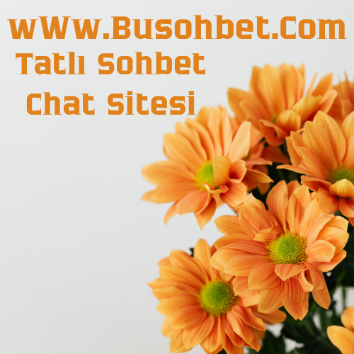Tatlı Sohbet Odaları - En Tatlı Arkadaşlık Chat Sitesi